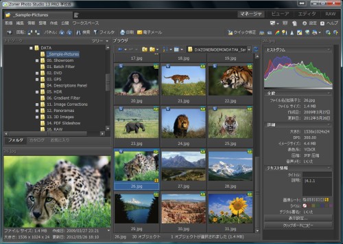 Zoner Photo Studio 13 PRO 学校版「メイン画面」
